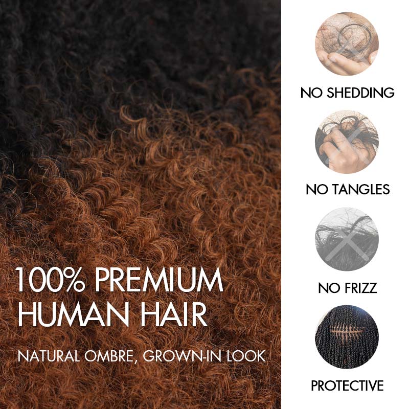 Ombre Brown #T1B/30 Afro kinky Bulk Human Hair for Braiding & Twists