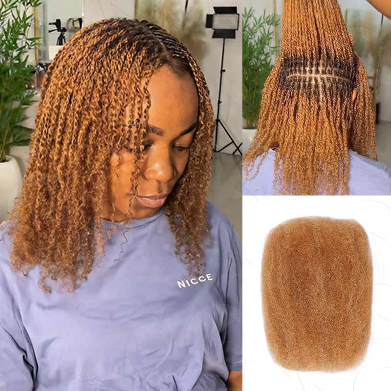 #27/30 Afro Kinky Bulk Mixed Color Human Hair for Braiding DreadLock